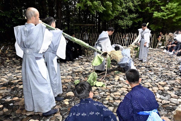 ながイモのどっち？