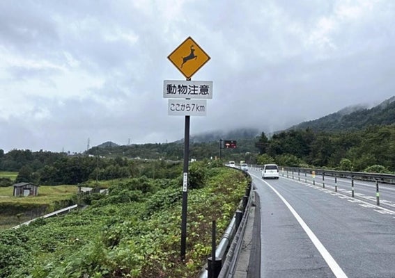 国道シカ・イノシシに注意 ロードキル減へ １６１号標識に出没目安距離